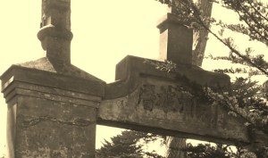 IMG_20130526_020036 (5)